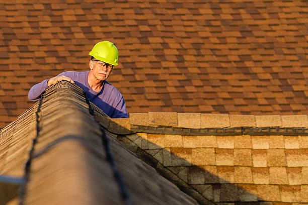 Best Roof Gutter Cleaning  in Highland Park, MI